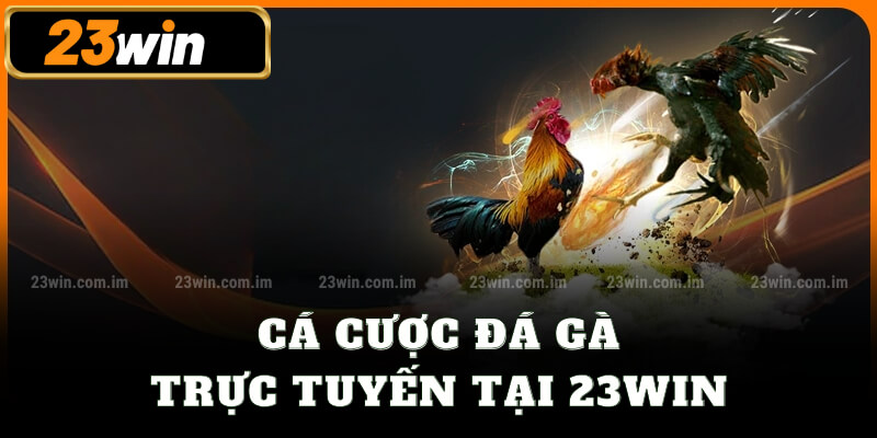 Cá cược đá gà trực tuyến tại 23win