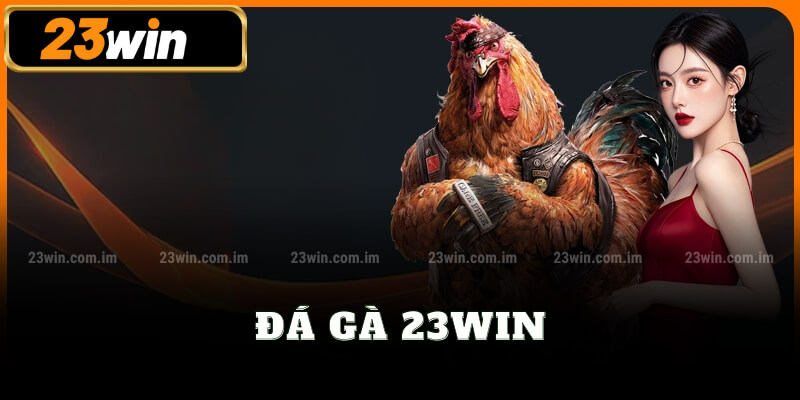 Đá gà 23win