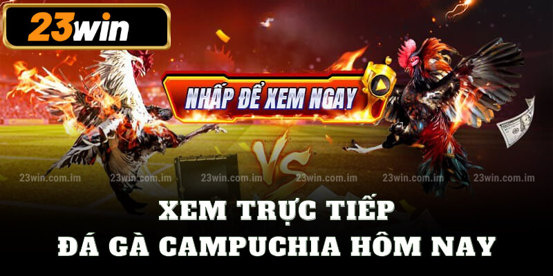 Xem trực tiếp đá gà Campuchia hôm nay