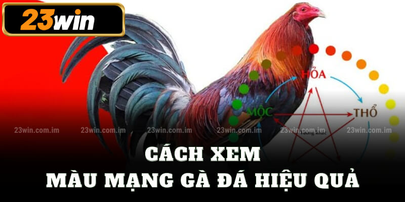 Cách xem màu mạng gà đá hiệu quả