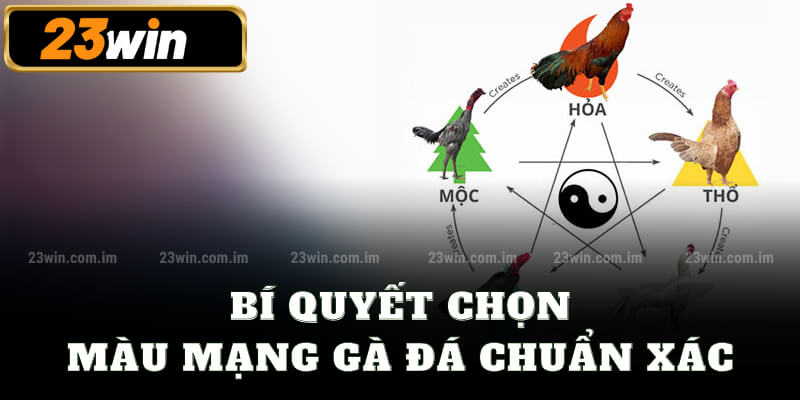 Bí quyết chọn màu mạng gà đá chuẩn xác