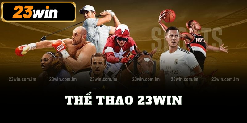 thể thao 23win